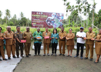 Pj Gubernur Papua Panen Cabai 40 kg di Lahan Milik Warga Kabupaten Jayapura