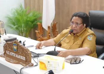Wamendagri Ribka Haluk Desak 26 Pemda di Tanah Papua Segera Lengkapi Syarat Pencairan Dana Otsus Tahap II